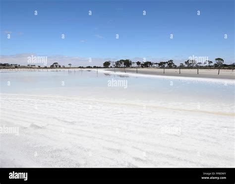 Green Lake near Lake Grace, Western Australia, WA, Australia Stock ...