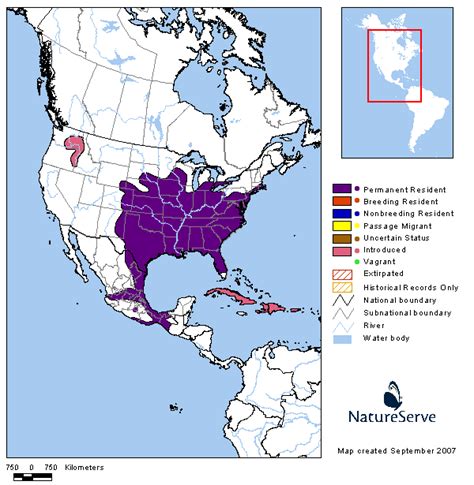 Americas Range Map - Northern Bobwhite | BirdPhotos.com