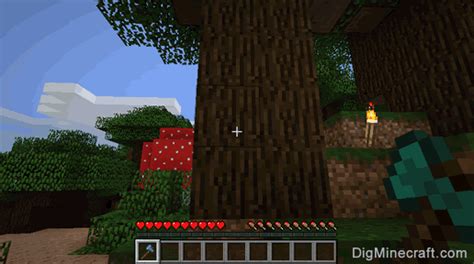 How To Find Dark Oak Wood In Minecraft - First, you need to uncover a dark oak tree in your ...