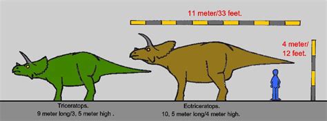 Eotriceratops | Moose art, Animals, Dinosaur