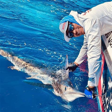 Master the Art of Striped Marlin Fishing: Lures, Teasers, and Dead Bait ...