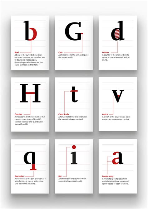 Anatomy the parts of type on Behance