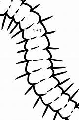 Centipede coloring page ♥ Print And Online Free sketch template