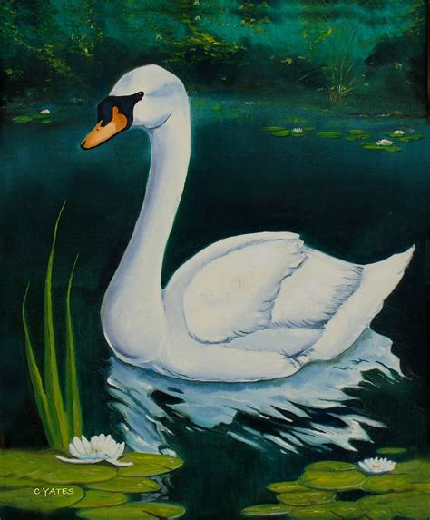 Swan Painting by Charles Yates