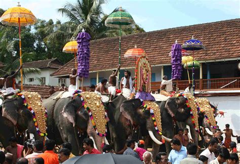 Elephant festival in Kerala, India | Wildlife tour, Trekking tour, Tour packages