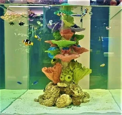 All Kind Of Glass Aquarium at best price in Kolkata by Happy Fins | ID ...