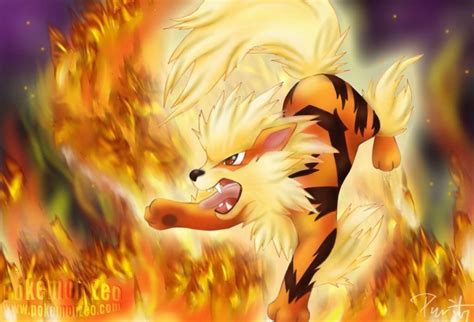 Arcanine Wallpapers - Wallpaper Cave