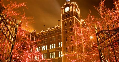 Tour the Anheuser-Busch Brewery Lights and Beer Museum