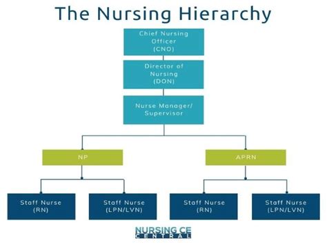 Understanding the Nursing Hierarchy: Where Do You Stand?