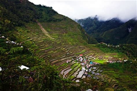 Cordillera rice terraces back in UNESCO heritage list │ GMA News Online