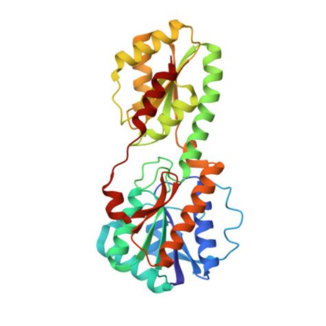 RCSB PDB - 4PFK: PHOSPHOFRUCTOKINASE. STRUCTURE AND CONTROL