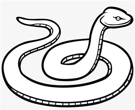 Free Clipart Of A Snake - Snake Clipart Black And White - 4000x3054 PNG Download - PNGkit