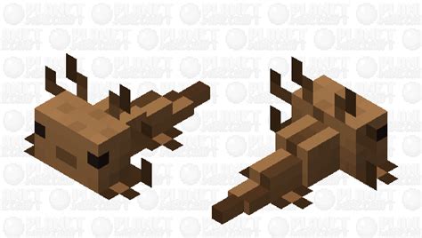 Brown Axolotl Minecraft Mob Skin