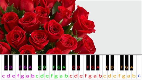 Where The Roses Never Fade | Piano Letter Notes