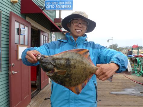 Starry.Flounder_Capitola_2013 - Pier Fishing in California