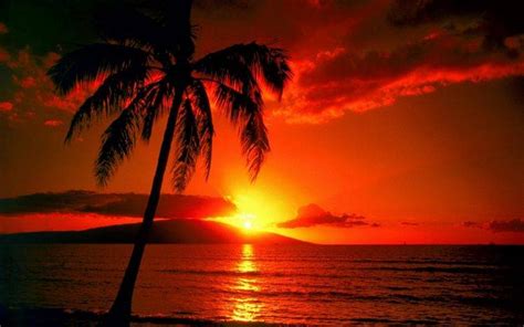 sunset, Landscape Wallpapers HD / Desktop and Mobile Backgrounds