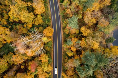 Here's when fall foliage will hit its peak in Connecticut in 2022