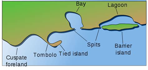 Barrier island - Wikipedia | Barrier island, Island, Coast