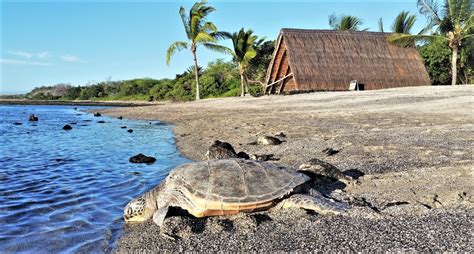 Honokohau Beach & Kaloko-Honokohau National Park