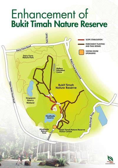 Bukit Timah Nature Reserve | Just Run Lah!