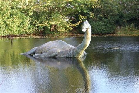 First recorded sighting of Nessie! | The loch, Man swimming, Loch ness ...