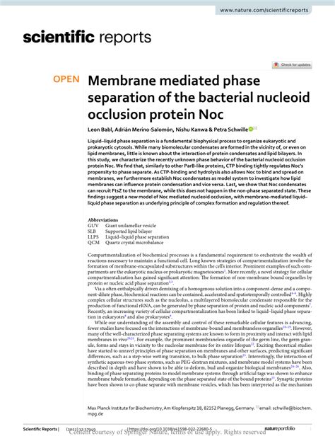 [PDF] Membrane mediated phase separation of the bacterial nucleoid occlusion protein Noc