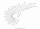Centipded Namibia Roger Coloring Page For Kids  Free Centipedes sketch template