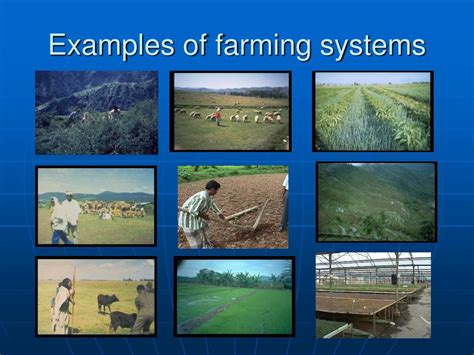 PPT - Agricultural Systems and Their Determinants PowerPoint ...