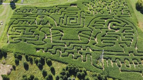 Celebrate fall with a football-themed corn maze at Moore Family Farm