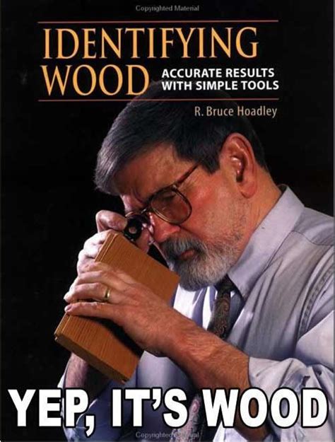 hmm...yep...that's wood. | Funny pictures, Funny pictures with captions, Funny memes