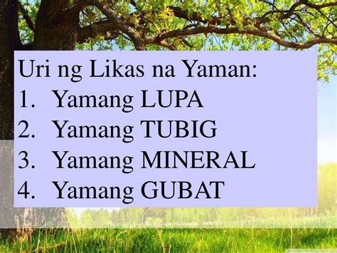 Mga likas na yaman