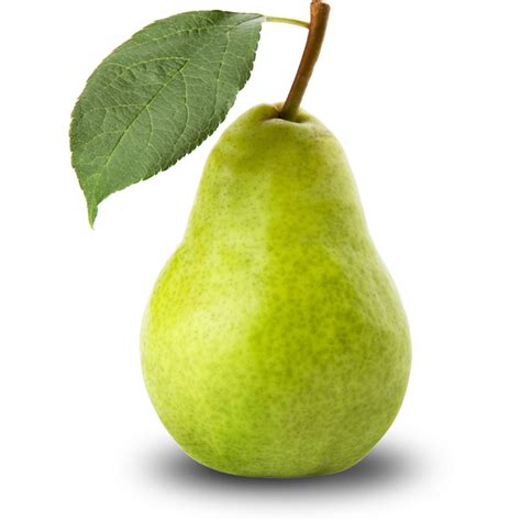 Collection of Pear HD PNG. | PlusPNG