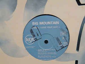 Big Mountain - Baby, I Love Your Way (1994, Vinyl) | Discogs