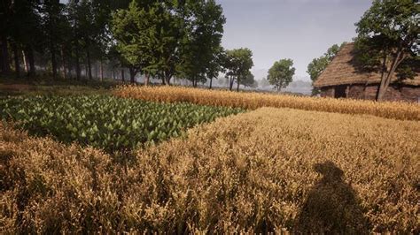 Medieval Dynasty Crops Plantation Seasons Guide - Gamer Tag Zero