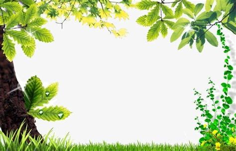 Beautiful Natural Border PNG - backgrounds, beautiful, beautiful ...