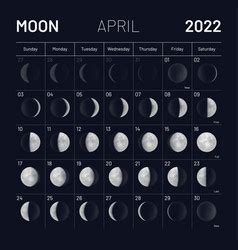 Moon phase calendar 2022 year month cycle planner Vector Image