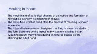 Moulting in insects(2).pptx