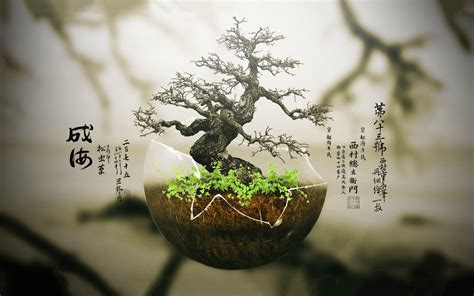 Bonsai Tree Wallpapers - Wallpaper Cave