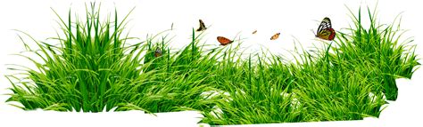 Grass Png Image Green Grass Png Picture Transparent HQ PNG Download | FreePNGimg