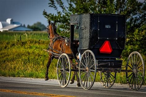 Understanding Our Amish Neighbors | Strasburg Rail Road