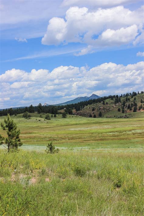 Florissant Fossil Beds National Monument - Extra Black Olives