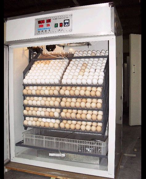 EGG Incubators: Manufacturers, Suppliers, Retailer, Wholesaler in India