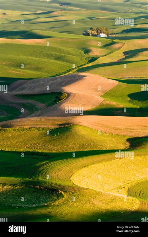 Palouse Hills at Sunset, Washington State, USA Stock Photo - Alamy