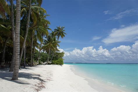 Maldives | Beautiful places to visit, Tropical islands, Beautiful places