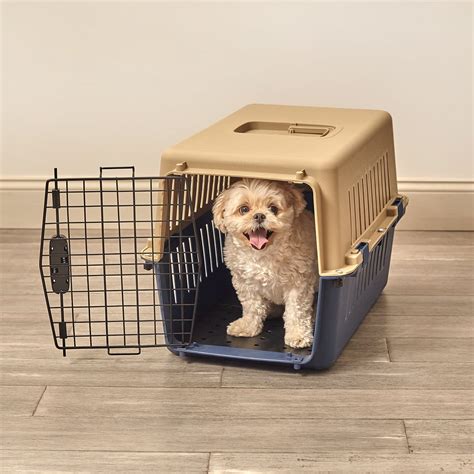 Pet Sentinel Travel Plastic Dog Crate, Small, 15.40"L x 15.70"W x 24"H - Walmart.com - Walmart.com