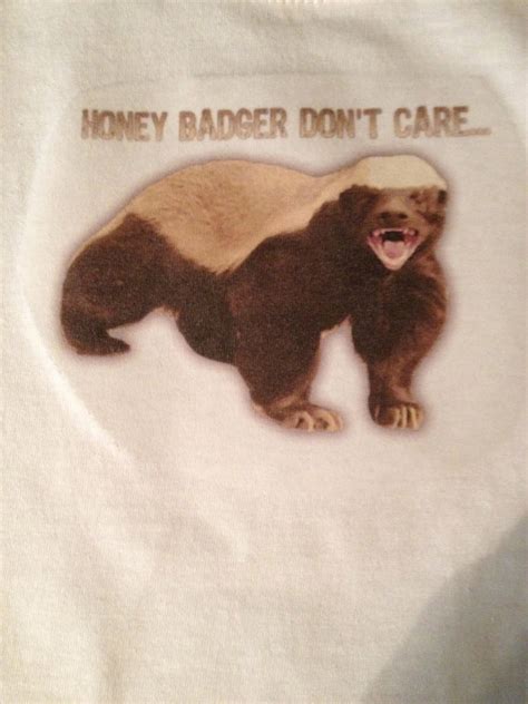 Honey Badger Funny Quotes. QuotesGram