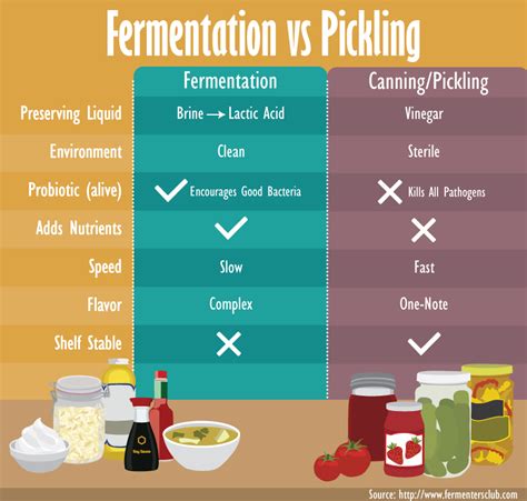 Health Benefits of Fermentation | Fix.com