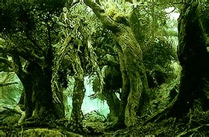 Treebeard GIFs - Find & Share on GIPHY