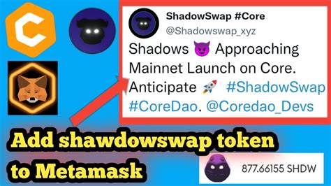 How to add ShadowSwap Token in Metamask wallet | Satoshi CORE Mining update - YouTube