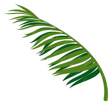 Premium Vector | Palm frond realistic exotic beach tree branch